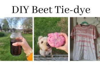 7 Bahan Pewarna Alami Tie Dye Yang Dapat Diekstrak Dari Makanan